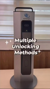 FREE INSTALLATION | F29P Facial Recognition Smart Door Lock | Smart Lock with Fingerprint & PIN