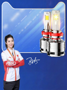 UNJOYLIOD | LED Front Headlight with High/Low Beam