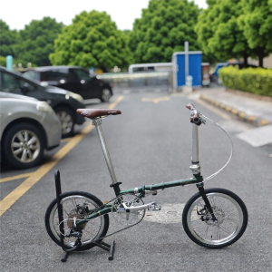 Fnhon Gust Fgd1618 1611 1609 Steel Disc Brake Folding Bike Lightweight Travel Friendly 20 Speed Gear System for Casual Riding