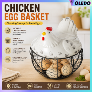 Rustic Chicken Shaped Ceramic Egg Storage Holder with Chicken-Net Lid - Kitchen Organizer Accessory
