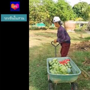 รถเข็นในสวนรถเข็นลาก-จูงในสวนกระบะดั้ม ล้อใหญ่10นิ้วใช้ในสวนพื้นผิวขรุขระได้ เบาแรงช่วยขนของหนักส่งฟรีทั่วไทย