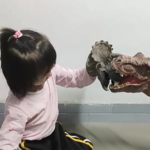 Defasilk | Childrens Dinosaur T-Rex and Shark Arm Puppets