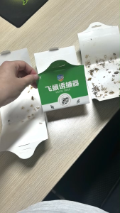 2 Boxes of Moth Traps (5 Pieces/Box) | Sticky Design | No Trace After Eliminating Moths | Efficient Household Indoor Moth Trap