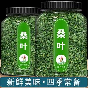 Special Quality Dried Mulberry Leaf Tea