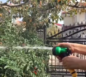 spray patterns adjustable Garden Watering flowers water spray gun car wash