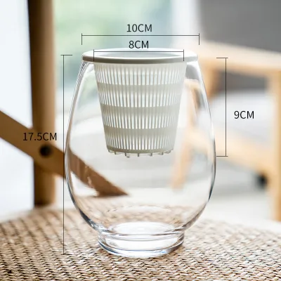 Transparent Glass Hydroponics Container Plant Grower Aquarium Money Grass Green Ivy Hanging Flower Vase Simple Style Desktop