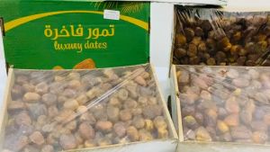Kurma Sukari AL Qassim 3kg Madina Saudi Arabia Fresh Kurma Enak Lembut Panen Baru 2027}
