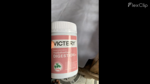 Maximizing Racing Pigeon Performance with Victery Digestion & Supplements