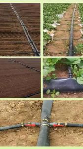 สายส่งน้ำ 100 เมตร สาย PE สายพลาสติกส่งน้ำ 1/2/3 นิ้ว ม้วน ไม่ซึม ไม่มีตะเข็บ ทนแดดทนฝน น้ำหนักเบา เคลื่อนย้ายสะดวก