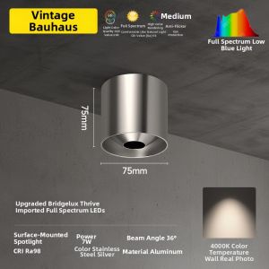 GDDS | Anti-glare Living Room Industrial Style Ceiling Recessed Downlight Stainless Steel Silver