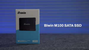 BIWIN M100 SATA SSD 256GB 2.5" Internal SSD Up to 560MB/s Internal Solid State Drives 2.5 Inches SSD SATA III 6Gb/s Laptop and PC Compatible Office Work School