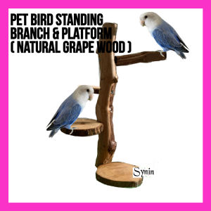 🇸🇬 Pet Bird Standing Branch & Platform Grape Wood Pepper Wood Perch Stand天然葡萄木花椒木