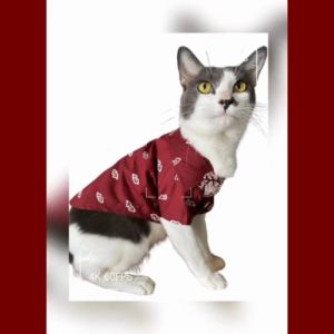 Pet Batik Shirt for Cats and Small Dogs Dark Red Cotton Mgea Mendung Motif by Furry Finds Hub