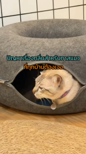 ผงดับกลิ่นทรายแมวใน 3 วิ แบบ 6 ถุง(ซื้อ5แถม1)