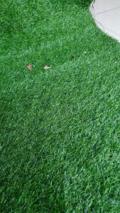 Giày Cao Gót Pointed Toe Quai Dán 6cm Trường Hải Da Mềm Đen/Trắng CG125