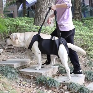 สายรัดพยุงสัตว์เลี้ยง แบบปรับได้   ที่พยุงสุนัข ที่ยกสุนัข ฝึกกายภาพบำบัด ด้านหน้าและด้านหลัง