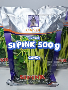 Benih Buncis Sipink 500 gram cap Candi unggul bibit hydroponik hidroponik biji ucet siping polong putih kucet sayur sayuran kacang