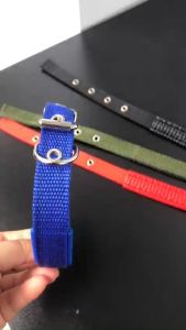 Vòng Cổ 2 Lớp Có Lót Đệm Dành cho Pet Từ 2Kg - 25KG - Chắc Chắn Dày Dặn