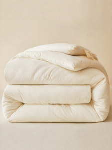 NAIYOUCHENG | Class A Xinjiang Cotton Thick Warm All-Season Dormitory Quilt Insert New 2026