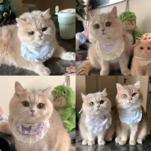 Pet Cat and Puppy Collar Bib Cute Cartoon Scarf