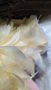 ขนนก เทปขนนก ขนนกตกแต่ง ขนยาว 5-8 cm #TG-01221 1หลา(90 cm) Feather Trim [พร้อมส่งในไทย]