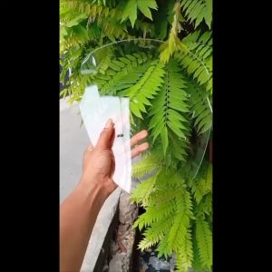 VISOR WINDSHIELD NMAX OLD NMAX LAMA MODEL THAILAND BAHAN FULL AKRILIK PNP NMAX OLD LAMA ZM55