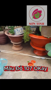 Sơn chậu kiểng cảnh màu Đỏ 107 hệ nước Okay Paint 1kg