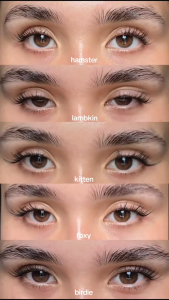 Elyzza Animal-Inspired Glue-Free False Lashes – Lambkin Hamster Birdie 10-12mm Kitten Foxy 9-13mm Doggy 9-11mm Natural Style Self-Adhesive Suitable Korean Make Up Look