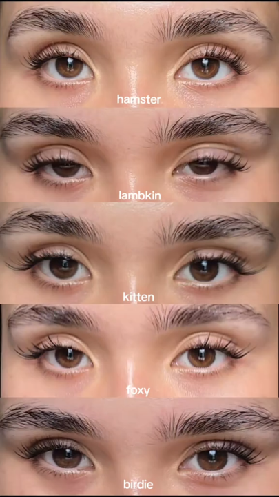 Elyzza Animal-Inspired Glue-Free False Lashes No Need Glue Reusable ...