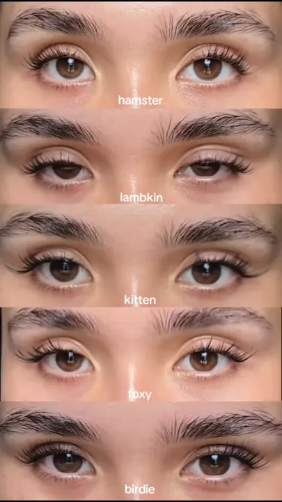 Elyzza Animal-Inspired Glue-Free False Lashes No Need Glue Reusable ...
