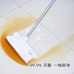 Lazy Fellow Mop: A Comprehensive Guide