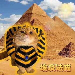 Funny Knitted Cat Hat Ancient Egyptian Style Halloween Pet Costume Dog Clothes Set Cute Pet Accessories Cat Clothing Raincoat