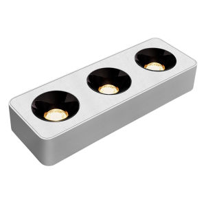 JINGYA | Full Spectrum Ultra-Thin Dual-Head Ceiling Light with Anti-Glare