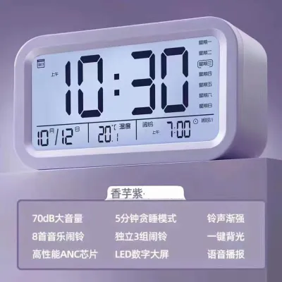 Extra Loud Blind Friendly Voice Timekeeping Night Light Alarm Clock