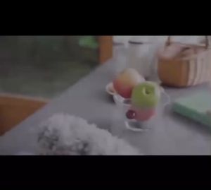 2.8M Duster Brush Adjustable Telescopic Bending Dust Cleaner Furniture Cleaning Brush Home Cleaning penyapu sawang