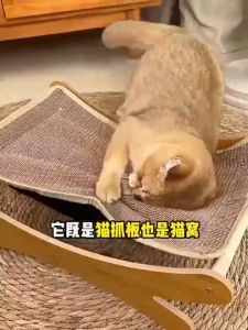 ที่ลับเล็บเปลนอน ที่นอนแมว ขนาดใหญ่ กระดานลับเล็บแมว แผ่นข่วน