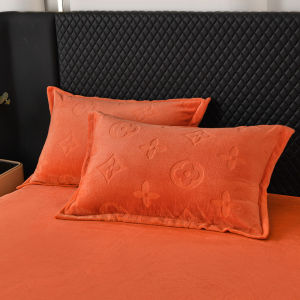 Luxury Milk Velvet Pillowcases Orange And Yellow Four Leaf Clover Single Double Person Pillow Covers One Pair Set for Rent House
