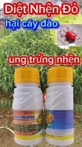Diệt nhện đỏ gây hại cây đào gây ung trứng không nóng nước sữa mát cây mát bông