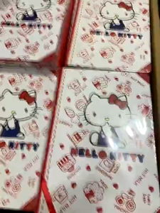 Hello kitty Cat Hard Shell Notebook