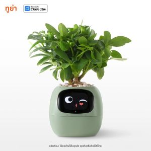 กระถางต้นไม้ AI Planter - ของขวัญคริสต์มาสที่สมบูรณ์แบบ |   ระบบสวนอัจฉริยะพร้อมแอปพลิเคชัน | ของขวัญวันหยุดสำหรับคนรักพืช