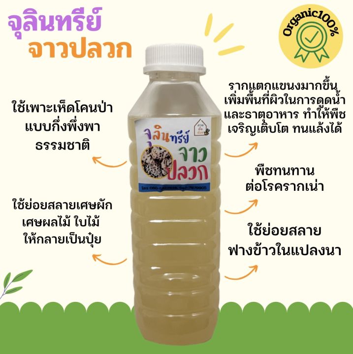จุลินทรีย์จาวปลวก 500ml ปุ๋ยชีวภาพ ป้องกันโรครากเน่า
