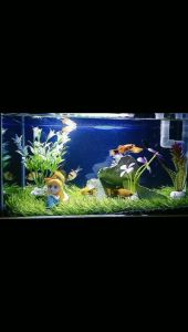 Rumput Sintetis 40x60 Swiss Tebal 3cm Untuk Aquascape