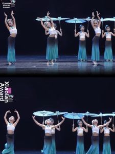 YOULEBAN | Peacock Dance Costume Skirt for Performance