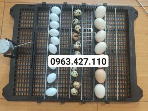 Khay đảo trứng gà vịt mới nhất