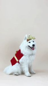 ชุดหมาแมวแฟนซี - ชุดคอสตูม กล่องของขวัญวันคริสต์มาส | CLAWSET.BKK