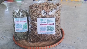 Cây nghể răm sấy khô [100g] TẶNG [50g] cỏ ngọt - hỗ trợ điều trị bệnh sán chó