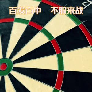 Target Board Dart board darts board dartboard Set shooting target  Professional Target