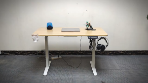 【Local Delivery】Ergonomic Standing Desk Electric Height Adjustable Gaming Table 3 Memory Height 2 Years Warranty
