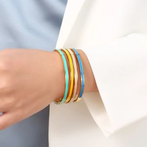 6mm Luxury Colorful Orange Enamel Bangles Bracelets for Women Party Gift Fashion Bangles Original 316L Titannium Jewelry Gifts