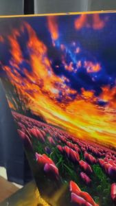 HIMALAYA35*50cm Bedroom Dining Room Living Room Office Hotel NATURE Paintings DESIGN